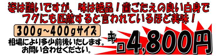 ���Q���F�a���Y�@���Y�I�R�[