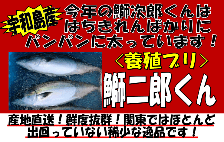 ���Q���Y�@�ܓ�Y����