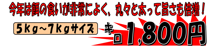 ���Q���Y�@�ܓ�Y����