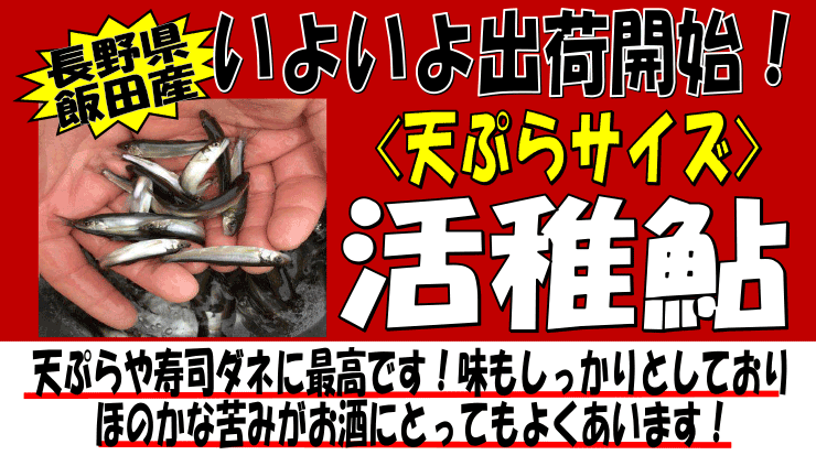 ���쌧�Y�@���t�A��