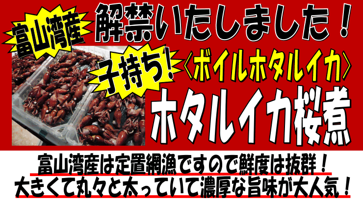 �x�R�p�Y�@�z�^���C�J����