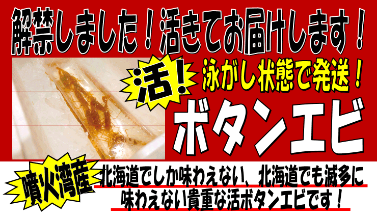 �k�C�����Θp�Y�@���{�^���G�r