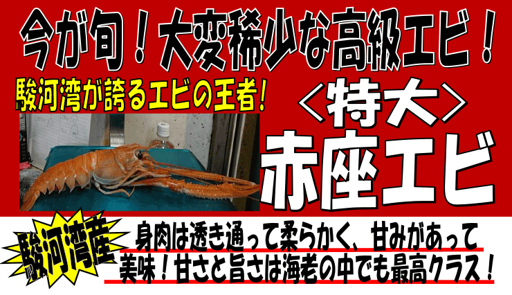 �x�͘p�Y�@����ԍ��G�r