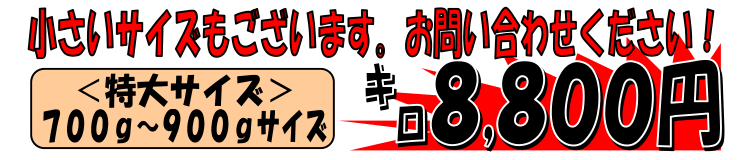 �x�͘p�Y�@����ԍ��G�r