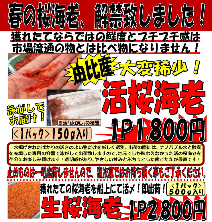 �É����R��Y�@�����C�V