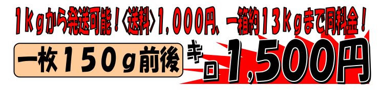 �Ⓚ���}�O���@�قٓ�