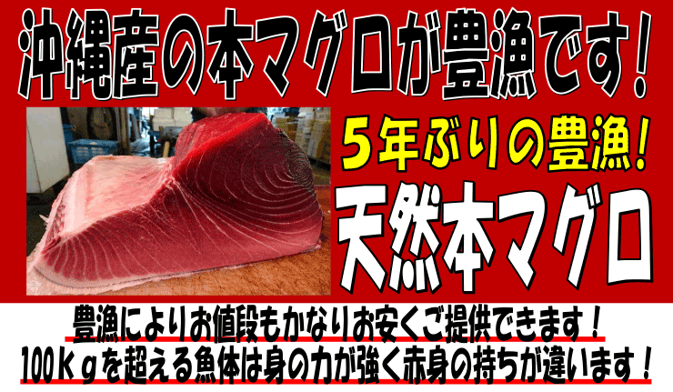 ����Y�@�V�R���{�}�O��