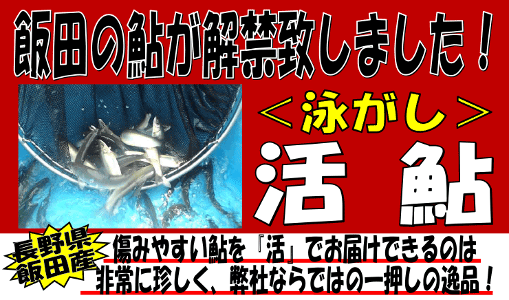 ���쌧�ѓc�Y�@���A��