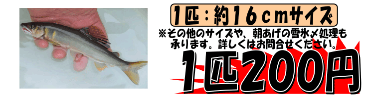 ���쌧�ѓc�Y�@���A��