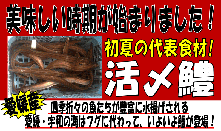 ���Q���Y�@���Y�n��