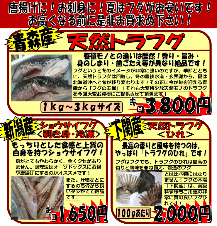 �X�Y�@�V�R�Ƃ�ӂ�