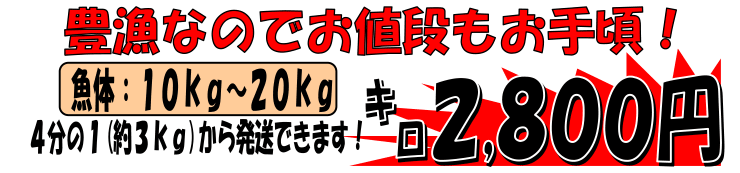 ���Θp�Y�@���}�O��