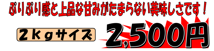 ���َY�@�V�R����