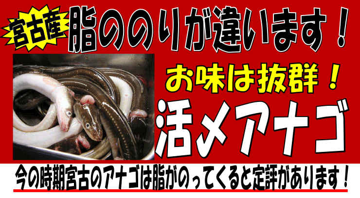 ��茧�{�ÎY�@���Y�A�i�S