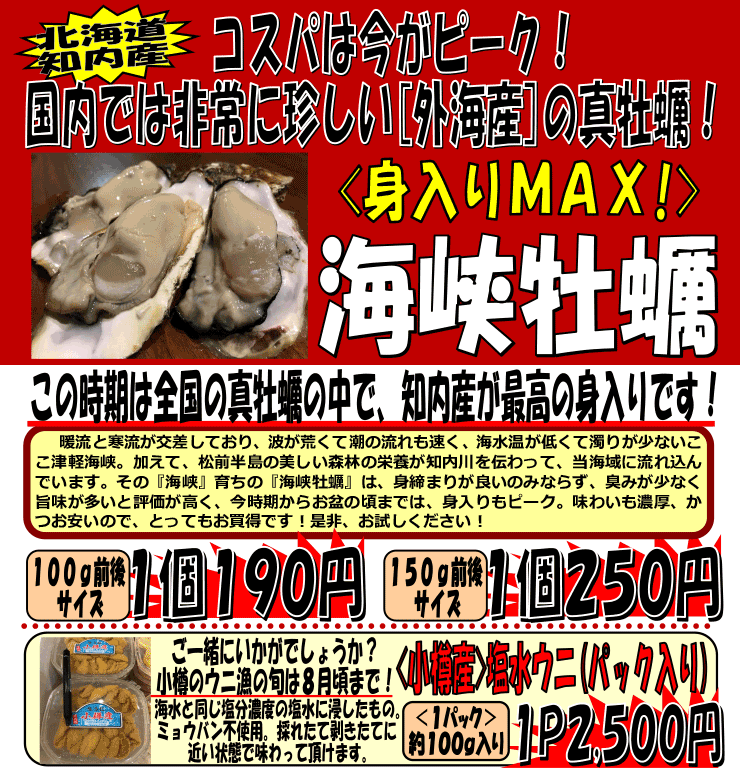 �k�C���m���Y�@�C�����y