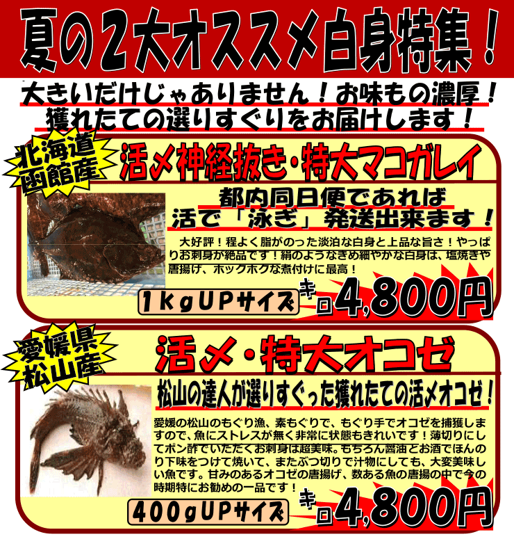 �k�C���Y�}�R�J���C�����Q�Y�I�R�[