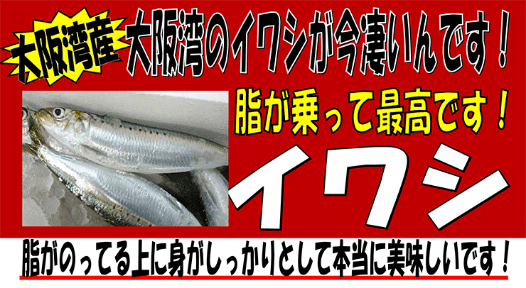 ���p�Y�@�C���V