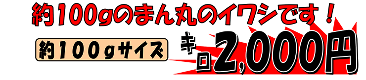 ���p�Y�@�C���V