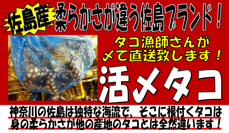 �_�ސ쌧�����Y�@���Y�^�R