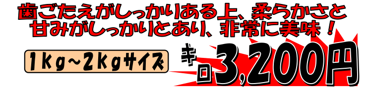 �_�ސ쌧�����Y�@���Y�^�R