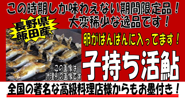 ���쌧�ѓc�Y�@���q������