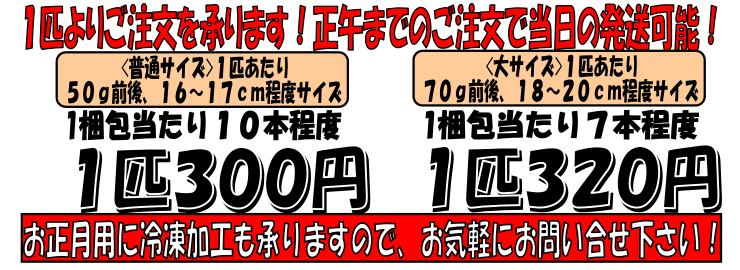 ���쌧�ѓc�Y�@���q������