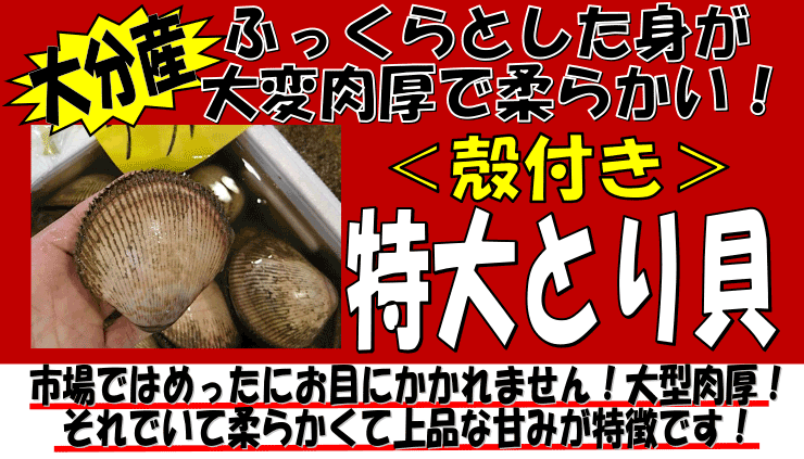 �啪�Y�@����Ƃ�L