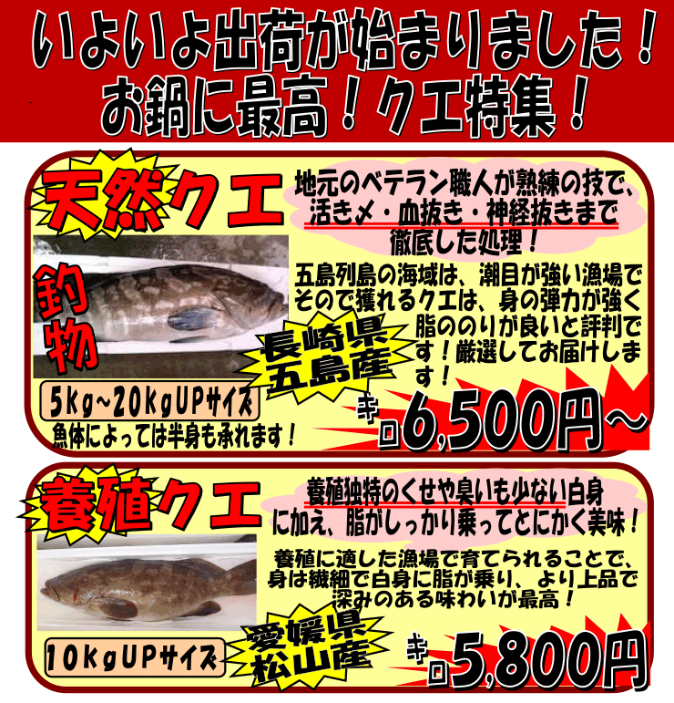 ���茧�ܓ��Y�@�V�R�N�G