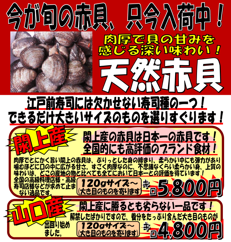 �|�さ�R���@�@�V�R�ԊL