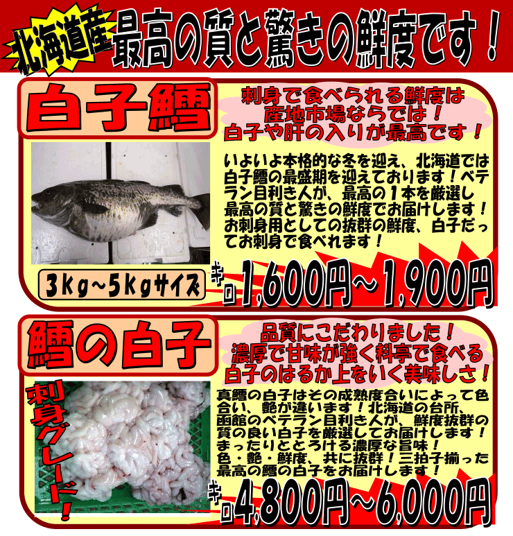 �k�C���Y�@���q�L���^�L���q