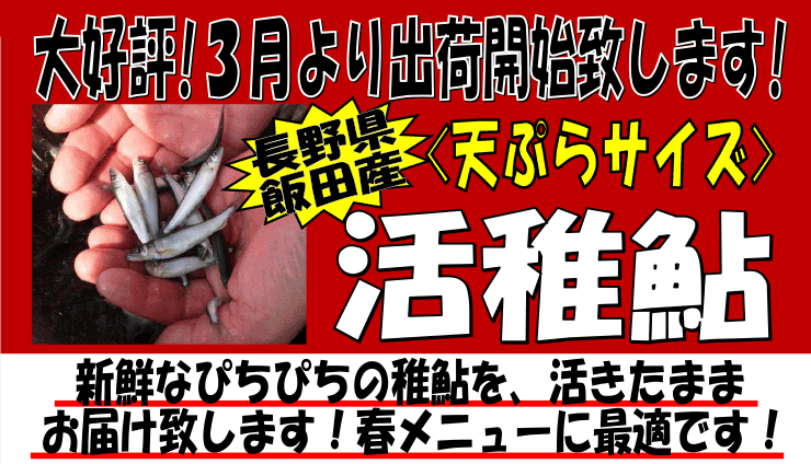 ���쌧�Y�@���t�A��