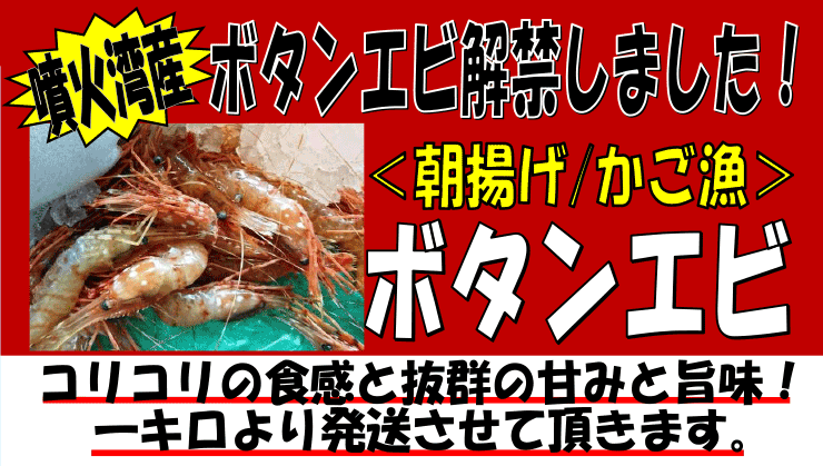 ���Θp�Y�@�{�^���G�r