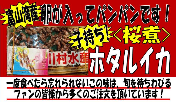 �x�R�p�Y�@�q�����z�^���C�J����