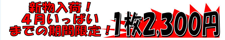 �x�R�p�Y�@�q�����z�^���C�J����