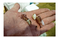 �x�R�p�Y�@�q�����z�^���C�J����