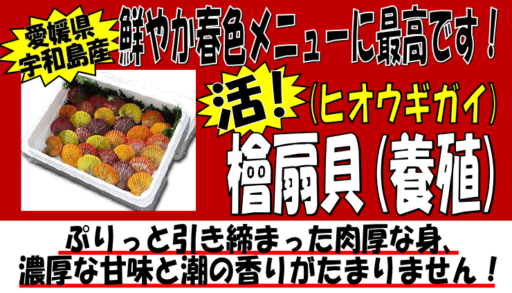 ���Q���F�a���Y�@�w��L