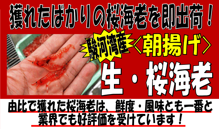 �x�͘p�Y�@�����G�r