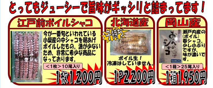 �]�ˑO���k�C�������R�@�{�C���V���R