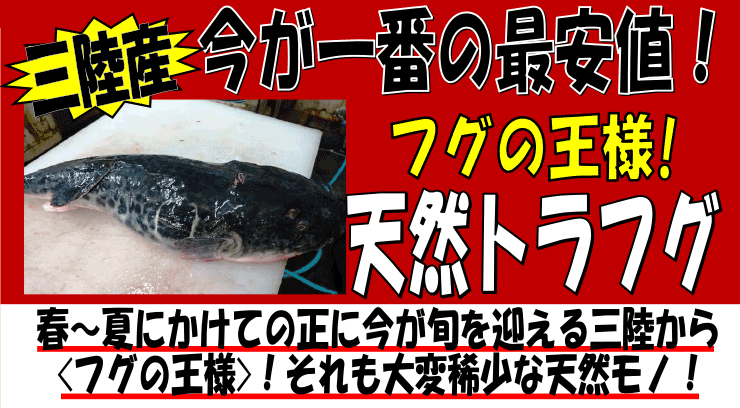 �O���Y�@�V�R�Ƃ�ӂ�