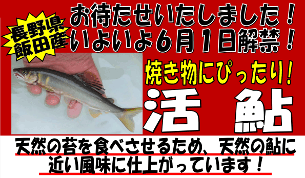 ���쌧�ѓc�Y�@���A��