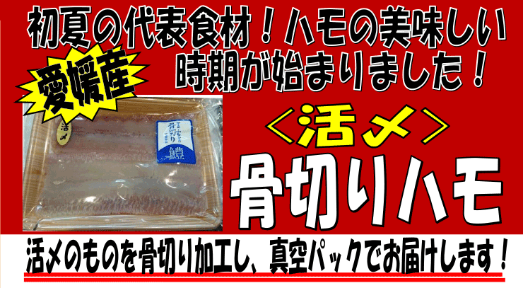 ���Q�Y�@���Y���؂�n��