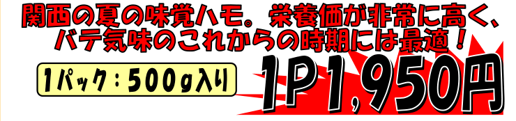 ���Q�Y�@���Y���؂�n��