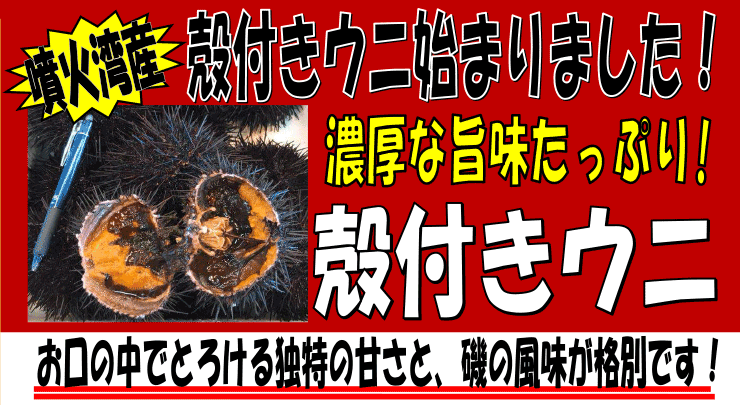 �k�C�����Θp�Y�@�k�t���E�j