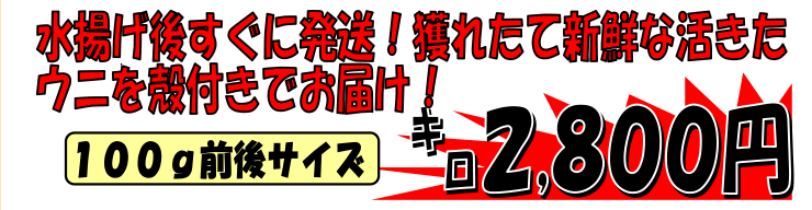 �k�C�����Θp�Y�@�k�t���E�j