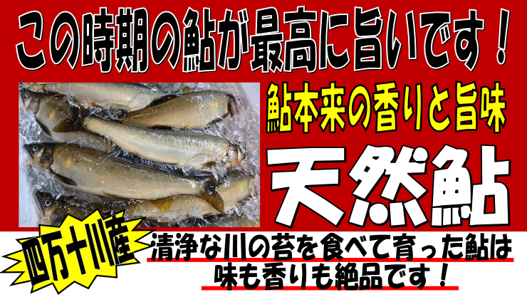 �l���\��Y�@�V�R�A��