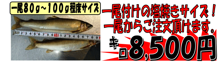 �l���\��Y�@�V�R�A��