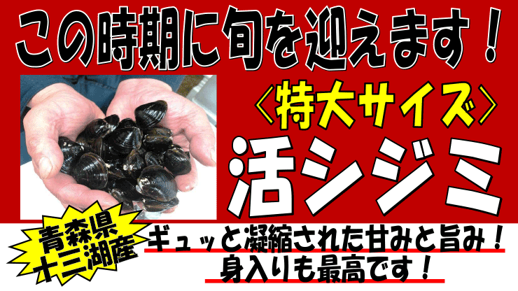 �X���\�O�ΎY�@���V�W�~