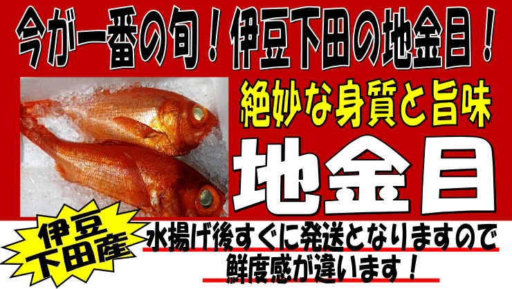 �ɓ����c�Y�@�n����