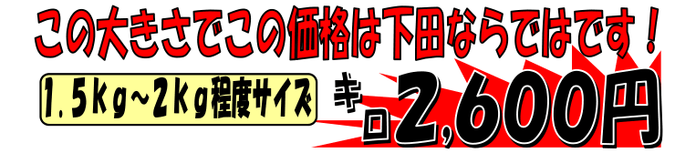 �ɓ����c�Y�@�n����