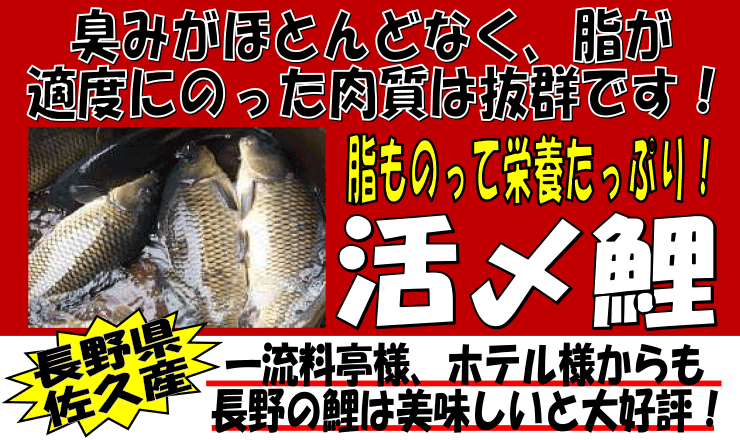 ���쌧���v�Y�@���Y��